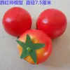 Modelo de Verdura Simulada Lechuga Falsa Repollo Brócoli Hojas Verdes Hojas de Shanghái Modelo de Gabinete Decoración para Casa
