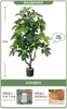 Planta Verde Artificial Spathiphyllum, Planta Verde Falsa de Lujo de Gama Alta para Interior Sala de Estar, Planta en Maceta, Adorno Decorativo Realista para el Piso