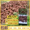 Origen Fuente Material del filtro del tanque de peces Material del filtro Pavimento carnoso Roca volcánica roja Paisaje Partículas grandes de piedra volcánica