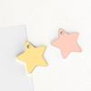 Venta al por mayor de fábrica de acero inoxidable con forma de estrella, colgante con letras DIY para perro, gato, mascota, tarjeta de identificación antipérdida