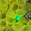 Pelota de nailon con cabeza de corcho Pelota de bádminton luminosa Súper duradera e irrompible Exterior Fluorescente Brillante Plástico Luminoso Pelota de nailon luminosa con luz