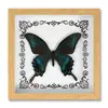 Marco de Fotos con Foto de Espécimen de Mariposa Real Pintura Decorativa Europea y Americana Marco de Fotos Retro DIY Decoración de Mesa para el Hogar Regalo de Cumpleaños Regalo
