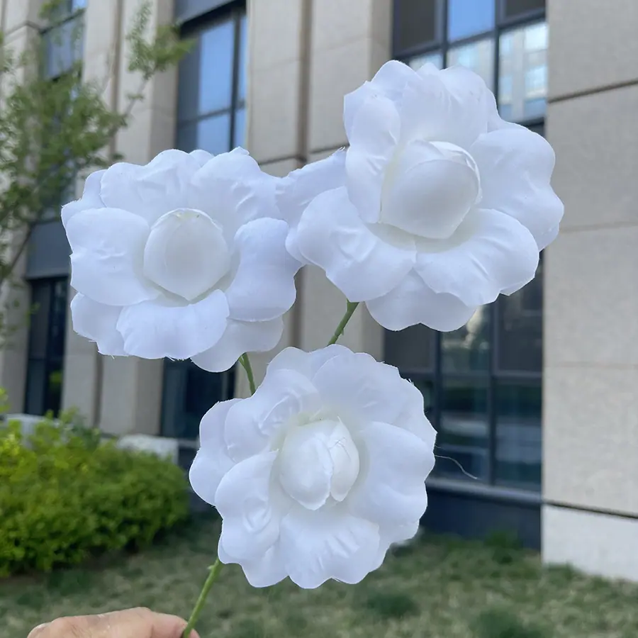 3头翻瓣仙子色玫瑰-白色.JPG