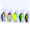 Comercio exterior suministro pesca en mar Luya Roca pequeño cebo gordo 5 piezas en caja CB030 cebo artificial mini miniatura cebo Luya