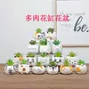 Vaso de Cerâmica Fofo e Fashion com Pintura à Mão de Planta Suculenta Verde Decoração de Casa Estilo Pastoral Simples Nórdico Ornamentos