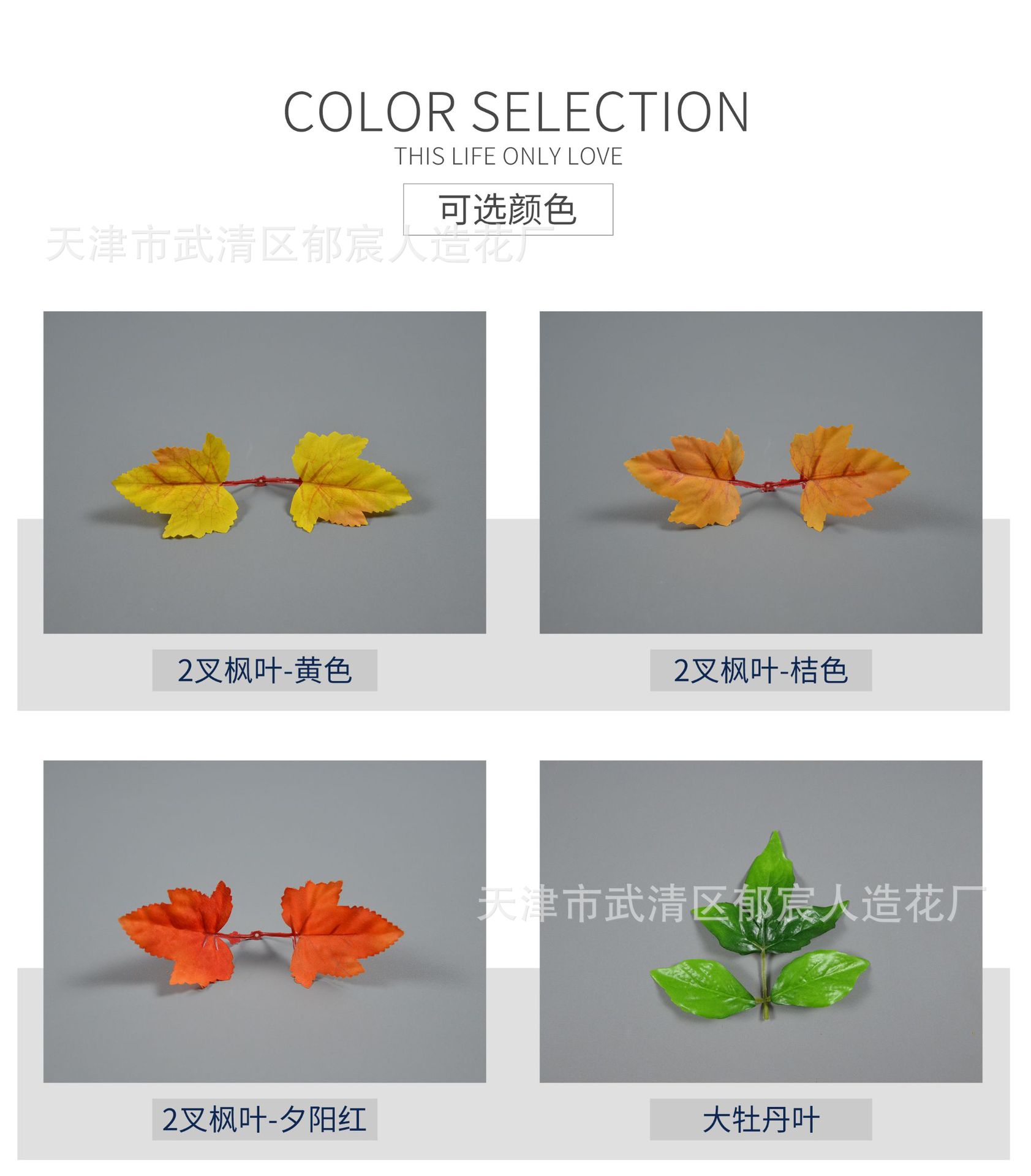 详情_02.jpg