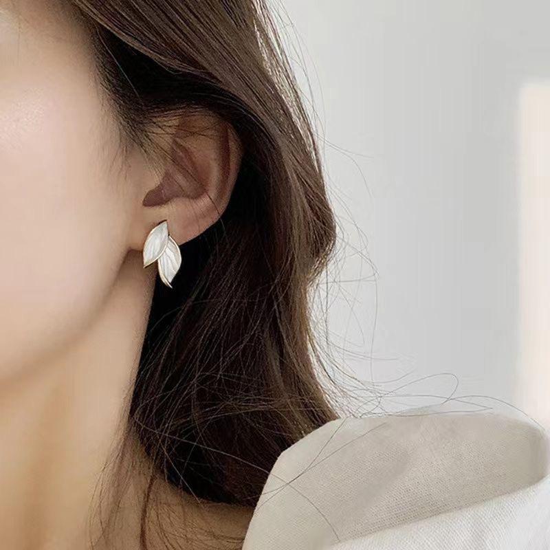 微信图片_20250226134535