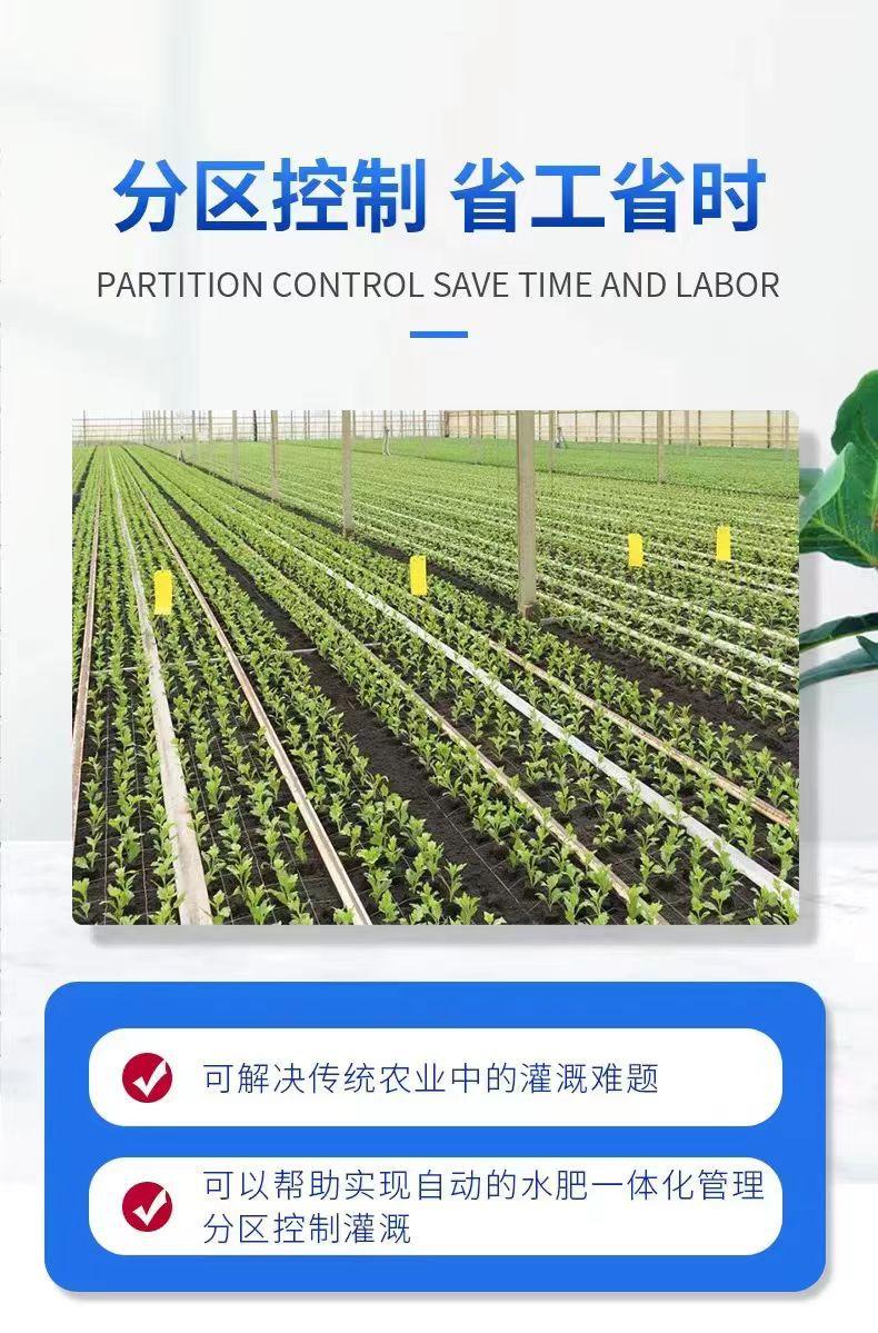 奥尔特12