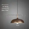 Luminária Pendente Moderna Minimalista de Cabeça Única para Restaurante, Iluminação Comercial para Mesa de Jantar para Restaurantes de Hot Pot, Iluminação de Loja, Iluminação de Salão de Beleza, Ferro Forjado