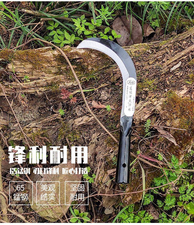 详情图片_2.jpeg