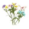 Xiacao Espécimen de Planta en Relieve Goteo de Gel Carcasa para Teléfono Móvil diy Material de Marco de Fotos Flores Secas en Relieve Flores Reales Maquillaje de Novia
