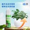 Dr. Flor Estrella y Hierba Hoja Verde Planta Tesoro Nutrición Universal Clorofila Líquida Flor Planta Verde Fertilizante Foliar