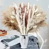 Ramo de Flores de Caña Seca Estilo Boho - 6 Tipos de Plantas Secas para Decoración Única del Hogar