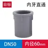 Conector Roscado Reto Interno de UPVC Conector Roscado Reto Interno de PVC-U Norma Japonesa Plástico Industrial Químico Conexões para Tubos de Água Conector Plug Interno