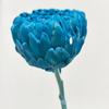 Flor Seca de Alcachofra Lótus Saussurea Eterna Flor Suave Arte Floral de Alto Padrão Alcachofra em estoque Atacado