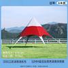 Toldo de Tienda Hexagonal Arcoíris para Exteriores Parasol Camping Salida de Otoño Protección Solar Pico Único Exterior Triángulo Estrella Vela