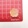 Gradiente luminoso hielo transparente fino destello flores rosa resina accesorios para bricolaje horquilla para el pelo teléfono móvil carcasa joyería parche