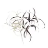 Folhas de Eucalipto Curvas Pequenas para Decoração de Casa, Atacado Transfronteiriço, Série de Cores Flores Artificiais, Adereços de Fotografia, Decoração