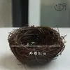 Colgador de Piña de Aire Estante Fijo para Flores Piña Pequeña Soporte de Resorte Regadera Pegamento Mini Estante