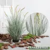 Simulação de Capim-dos-pampas Setaria Gramínea Decorativa Celebridade da Internet Restaurante Celebrado Vitrine de Shopping Center Paisagismo Verde Design de Paisagismo de Piso