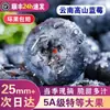 Arándanos de Yunnan Fruta Fresca con Aroma Floral, Fruta Especial de Temporada Fresca, Caja Completa, No Incluye Caja de Regalo Sf Express/Jd