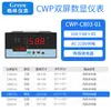 Instrumento con Pantalla Digital de Doble Pantalla, Controlador de Pantalla Digital de Temperatura, Presión y Nivel de Líquido con Pantalla de Picos y Alarma