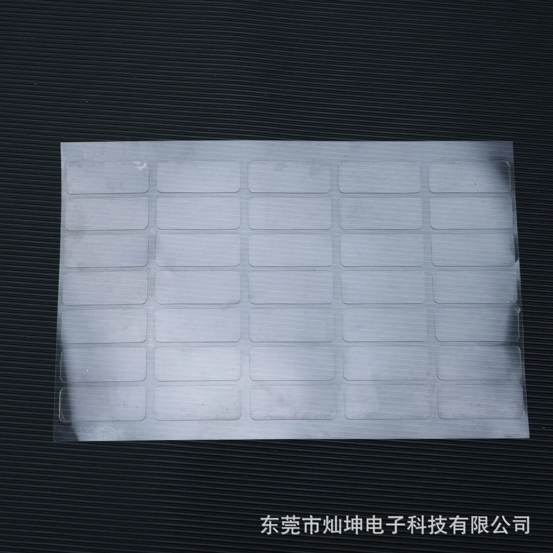 WANG0483-202503197.jpg