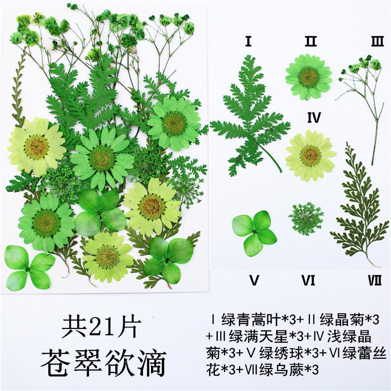 IMG_4167_副本_副本.jpg