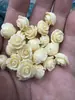 Pó Carvado Compactado Estéreo Rosa Concha Mista Compactada Buraco Reto Contas Artesanal DIY Joias Acessórios com Furo Transversal