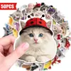 Compra Direta Transfronteiriça [com Certificação Ce.Cpc] 50 Adesivos de Gatinhos Fofos e Divertidos com Chapéus, Novos Produtos, Adoráveis e Engraçados
