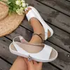 Sandalias Planas de Verano 2022 para Mujer, Estilo Europeo y Americano Transfronterizo, Tallas Grandes, Suministro Directo del Fabricante