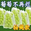 Bolsa a prueba de insectos con cordón para uvas y frutas, a prueba de insectos, a prueba de pájaros, a prueba de lluvia, bolsa transpirable para frutas e higos