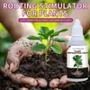 A Solução Nutritiva para Plantas KineShienX previne o amarelamento das folhas, promove o crescimento das raízes, fortalece as raízes e as folhas, e promove o crescimento em plantas de cultura hidropônica e em solo.