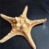 Venda Direta da Fábrica Estrela do Mar Natural Concha Plano Pão Estrela Estrela 1- 11cm Porta-Retrato Vela Micro Paisagem
