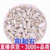 Actinolita 500g Piedra Blanca Natural Seleccionada Actinolita Calcinada Actinolita Remojada en Agua y Vino Polvo de Actinolita