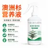 Solução Nutritiva de Pinheiro Australiano para Plantas Verdes em Vasos Caseiros, Enraizamento, Fortalecimento das Folhas, Promoção do Crescimento, Melhora da Cor, Aumento do Verde, Cuidados com Plantas em Vasos