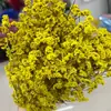 Flores secas de capim cristal preservadas, decoração de flores reais, buquê de flores preservadas feito à mão com vendas diretas da fábrica de Yunnan e frete grátis