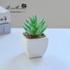 Suculenta Pequeño Bonsái Cerámica Muebles para el Hogar Decoración Fabricante de Jinhua Plantas Verdes Aliexpress Flor Artificial Plantas en Maceta