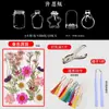 Marcador de Flores Secas Espécimen de Planta Película Selladora Botella Flores Prensadas Recolectadas en Otoño Material Hecho a Mano DIY Flor Transparente
