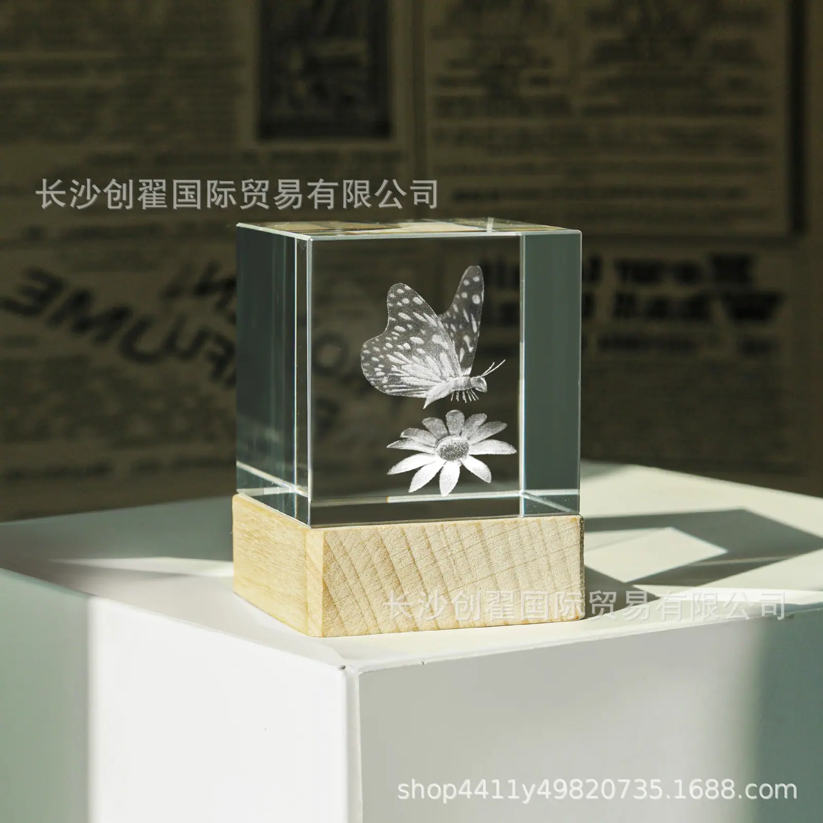 蝴蝶_07.jpg