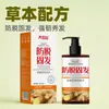 Shampoo Qiyunshan Platycladus Orientalis Folha Anti-Queda e Fortalecedor de Cabelo, Controle de Oleosidade, Crescimento de Cabelo Fofo, Anticaspa, Anti-Coceira, Shampoo com Aroma Herbal