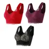 Comércio Exterior Moda Íntima Feminina Plus Size Renda Sutiã com Bojo Fixo Combinação de 3 Peças Cinta para Seios Amazon Aliexpress Transfronteiriço