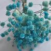 Ramo de Flores Secas Producto Terminado Mini Ramo Ramillete Flor Real Flor Inmortal Recuerdo de Boda Novia Dama de Honor Ramillete Pegatinas