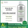 Óleo Essencial de Melaleuca Australiana Folha Mútua Árvore do Chá de Mil Camadas Matérias-Primas em Estoque Aromaterapia DIY Sabão Artesanal Perfume Óleo Essencial