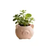 Caja de Ahorro Popular Transfronteriza Piggy Impresa en 3D Creativa, Portalápices, Arreglo Floral, Diseño Tridimensional, Compacta Decoración para el Hogar de Plantas