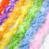 En stock transfronterizo 40g tiras de plumas pavo bufanda de plumas bola decoración de festival tiras de plumas DIY 2 metros