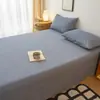 2026 Sábana de Cama de Color Sólido Nueva Pieza Única Versión Engrosada para Dormitorio de Estudiantes Cama Individual Lavable Tela Cepillada Funda Nórdica y Funda de Almohada Juego de Tres Piezas