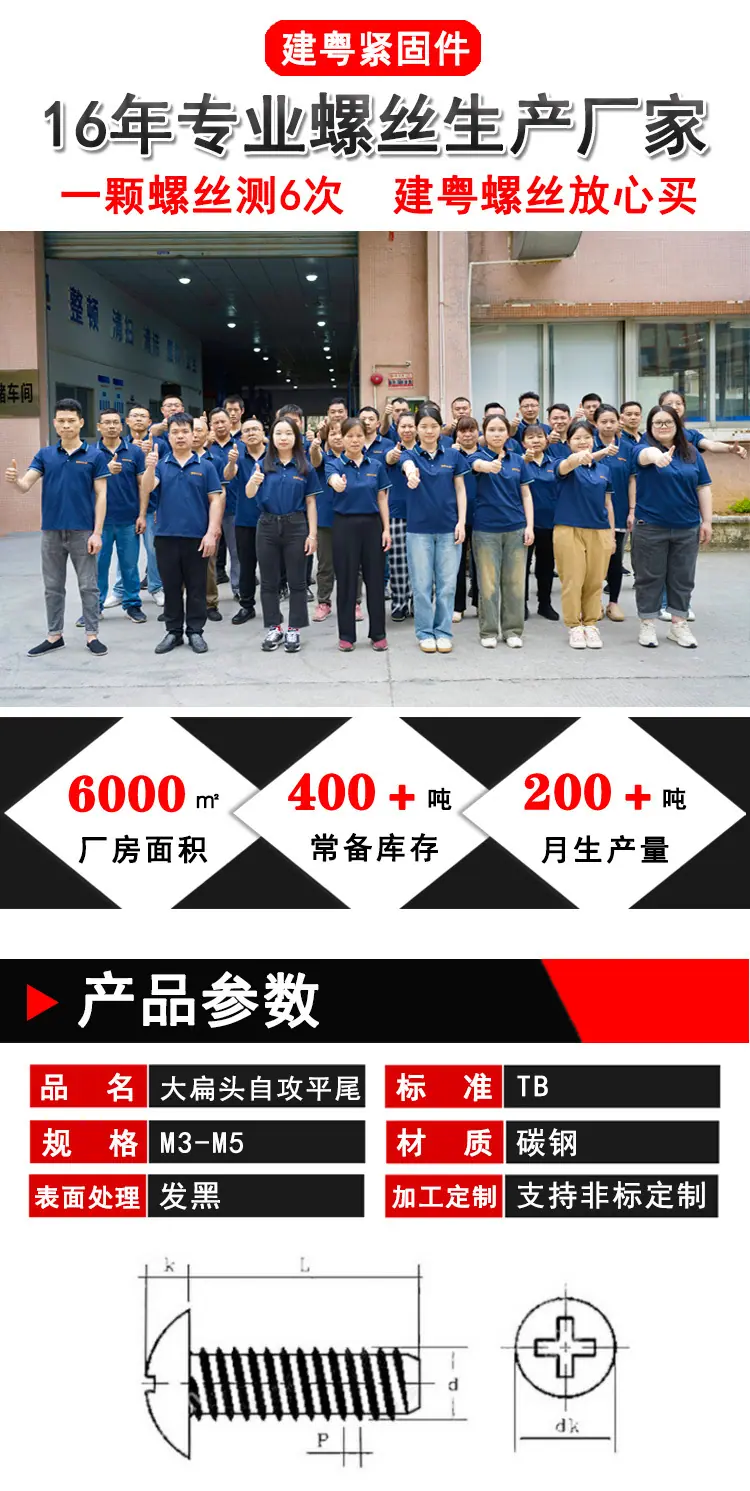 大扁头自攻平尾建粤详情页_01.jpg