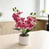 Planta de Vaso de Orquídea Phalaenopsis Artificial Haste Dupla 10 Flores Bonsai Cena de Fotografia Doméstica Arranjo Sensação de Alto Padrão Planta Artificial Verde