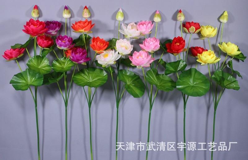 IMG_9912_副本.jpg